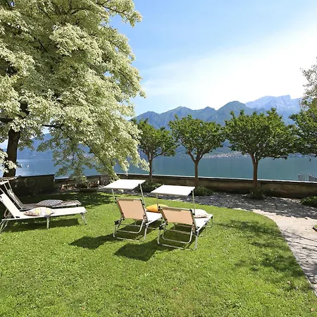 Magnolia Oliveto Lario