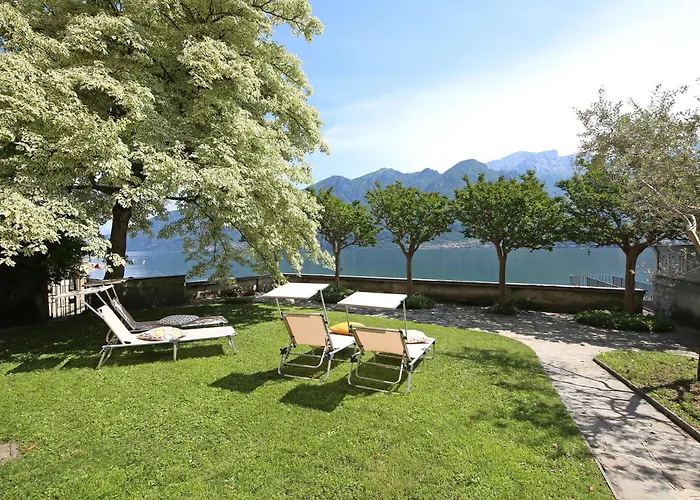Magnolia Oliveto Lario